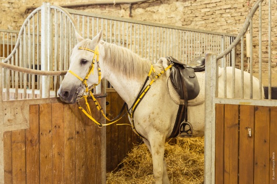 Les écuries ALF