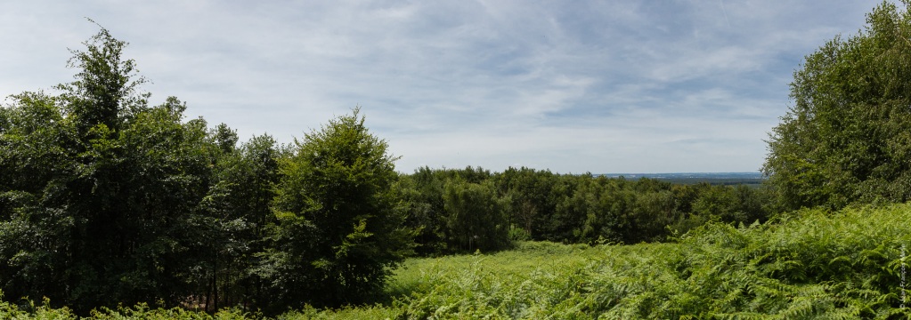 Les écuries ALF
