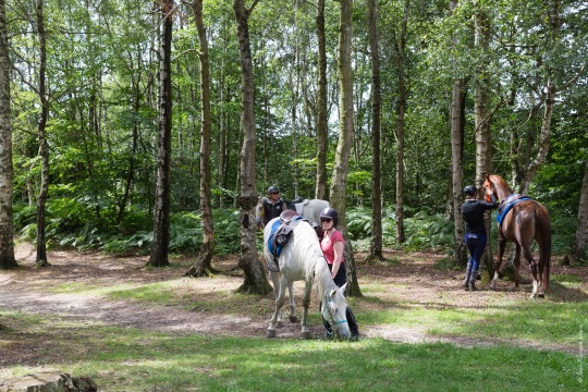Les écuries ALF