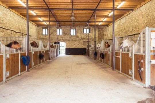 Les écuries ALF